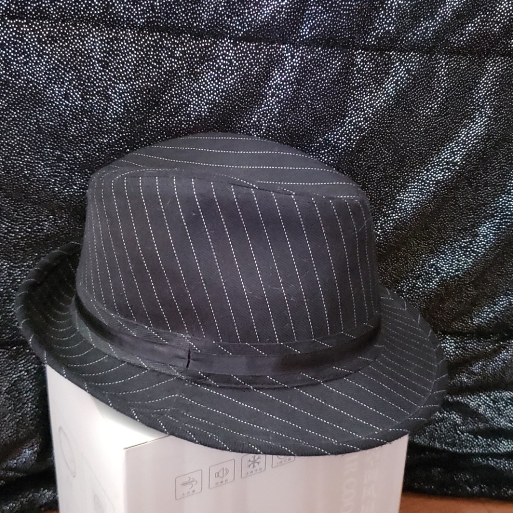 Pin-striped fedora